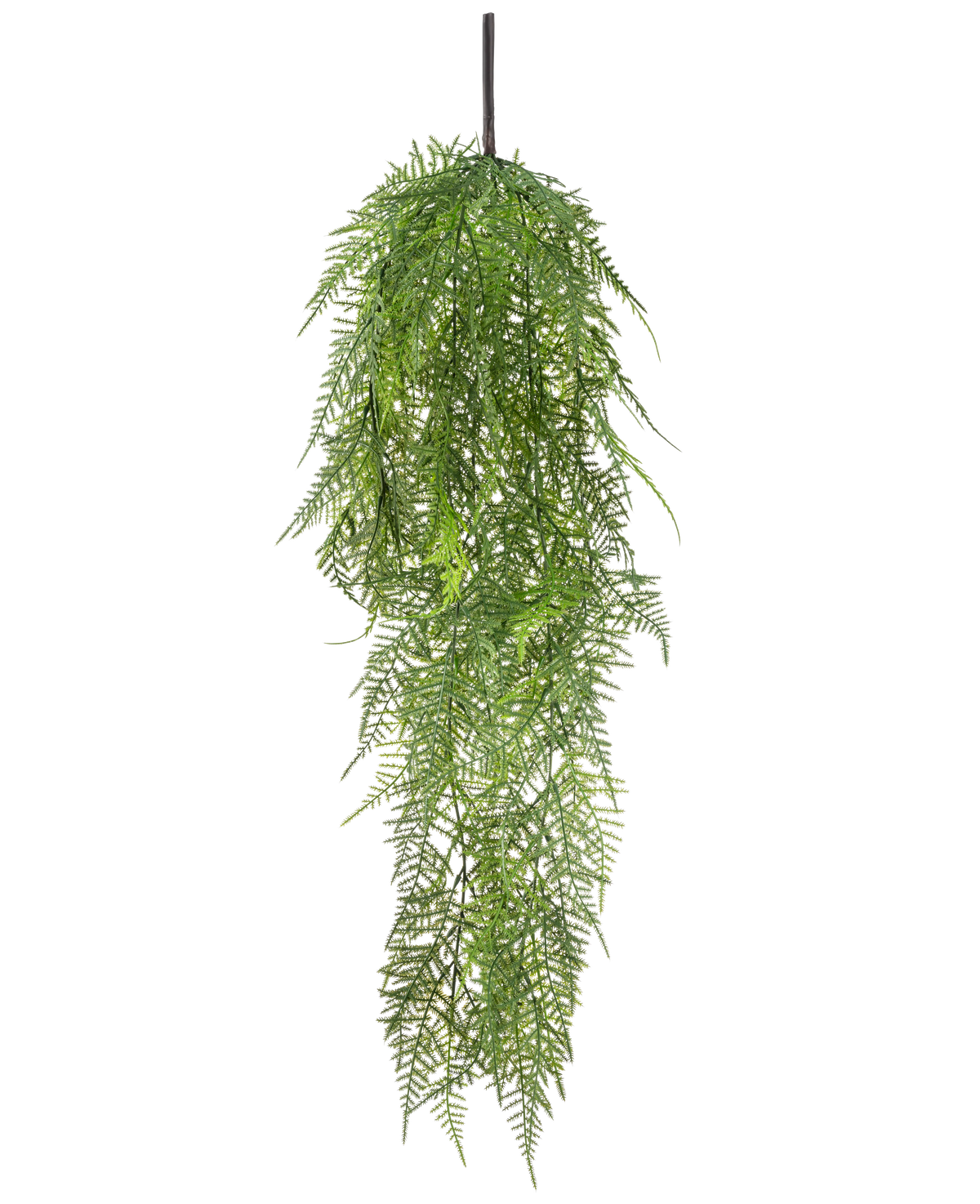 La plante artificielle suspendue asperge 78 cm a de longues feuilles vertes délicates qui tombent, créant une image luxuriante et réaliste sur un fond blanc uni.
