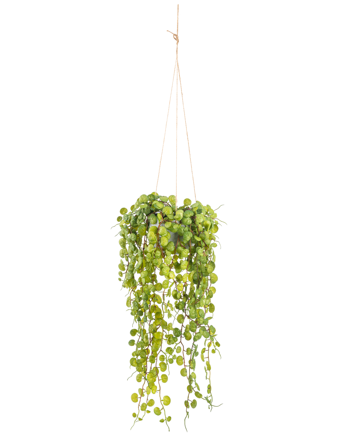 La Plante succulente artificielle suspendue de 53 cm en pot présente des feuilles vertes rondes émergeant d'un pot suspendu, maintenues par de fines cordelettes marron sur un fond uni blanc.