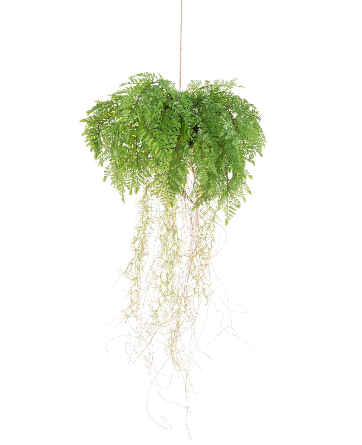 La Plante artificielle suspendue Fougère à racines d35 cm avec système de suspension possède des racines longues et fines et pend sans entretien sur une ficelle sur un fond blanc.