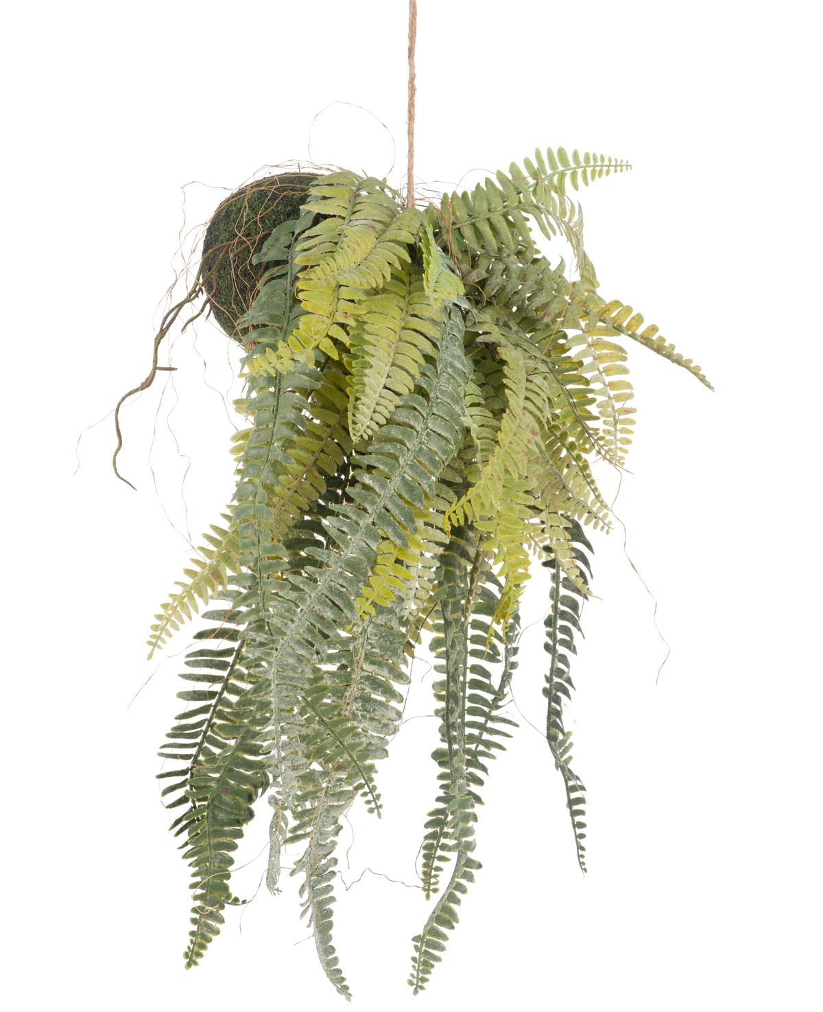 La plante artificielle suspendue Fougère givrée sur boule 97 cm possède de longues feuilles vertes gracieuses qui pendent d'une boule recouverte de mousse sur une fine corde. Une plante d'intérieur élégante et sans entretien qui s'intègre parfaitement dans n'importe quel intérieur.