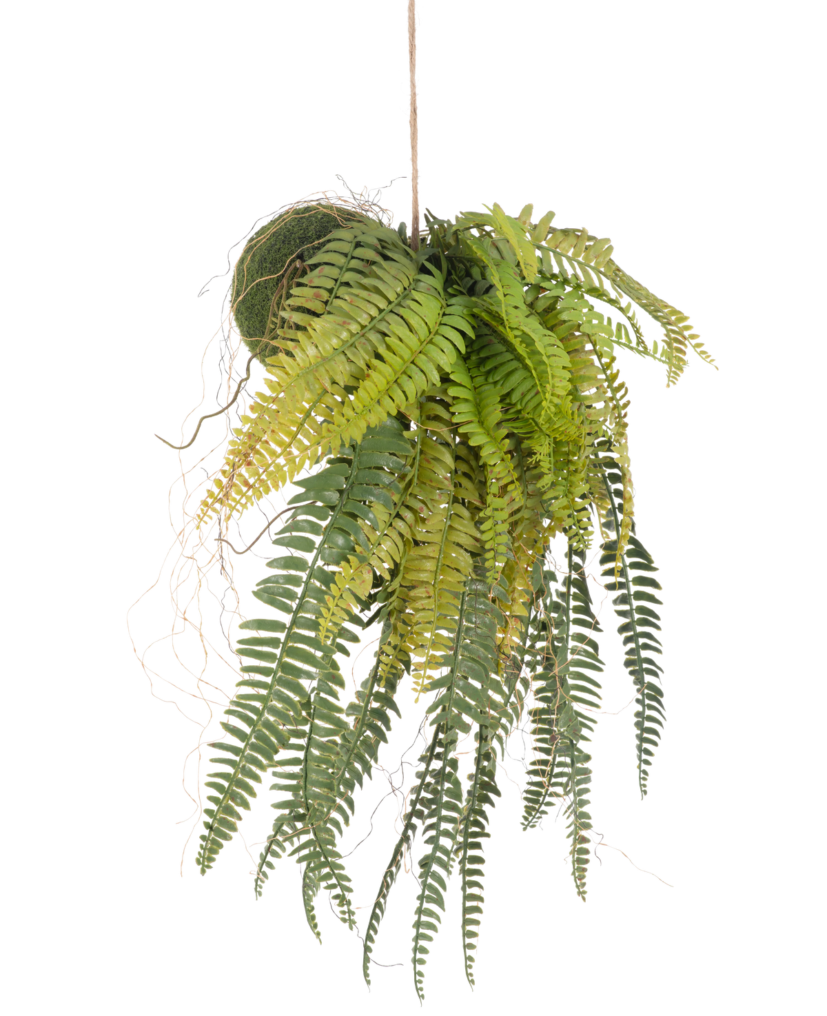 La plante artificielle suspendue Fougère sur boule 63 cm a des feuilles vertes luxuriantes et suspendues et des feuilles délicates. Suspendue à une fine ficelle sur un fond blanc, c'est la plante suspendue parfaite sans entretien pour n'importe quelle pièce.