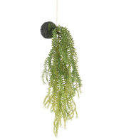 La plante artificielle suspendue Phlegmariurus ball 50 cm présente des feuilles de fougère vertes sur un socle rond recouvert de mousse, suspendues à une ficelle sur un fond blanc.