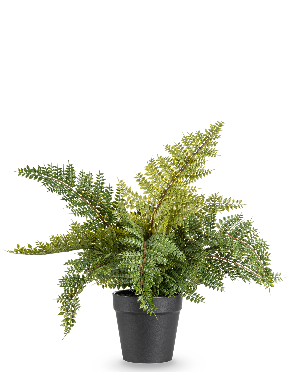 La fougère artificielle de 33 cm est une fougère artificielle verte luxuriante avec des feuilles plumeuses dans un simple pot noir, représentée sur un fond blanc uni.