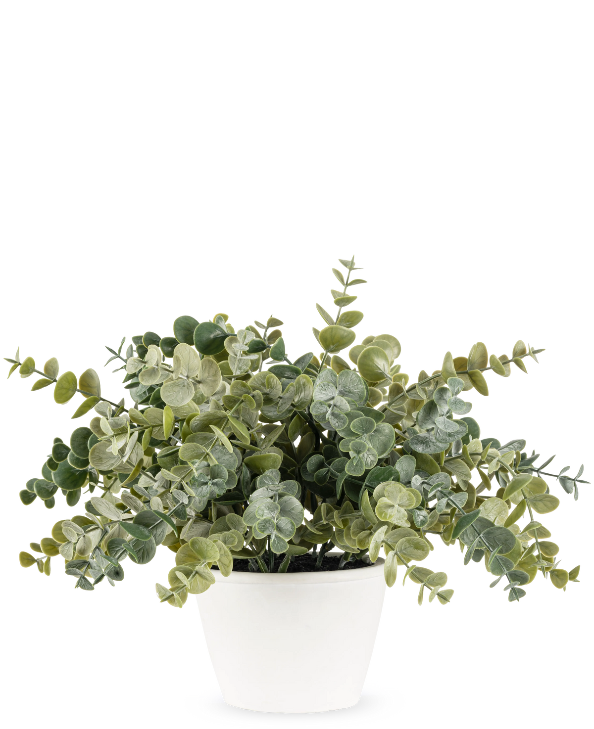 La plante artificielle d'eucalyptus de 23 cm a des feuilles vertes rondes et luxuriantes et est présentée dans un simple pot blanc, parfait pour égayer n'importe quel espace avec son aspect naturel sur un fond uni.