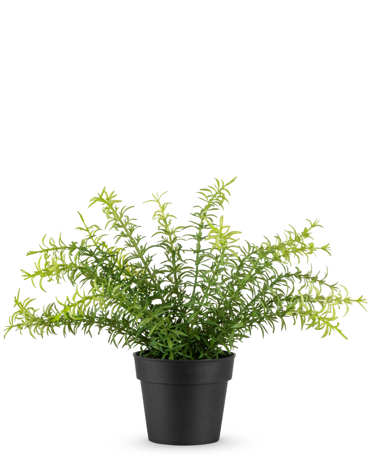 La plante artificielle Anthurium 27 cm possède de longues feuilles vertes fines s'étendant d'un pot en plastique noir, sur un fond blanc uni.