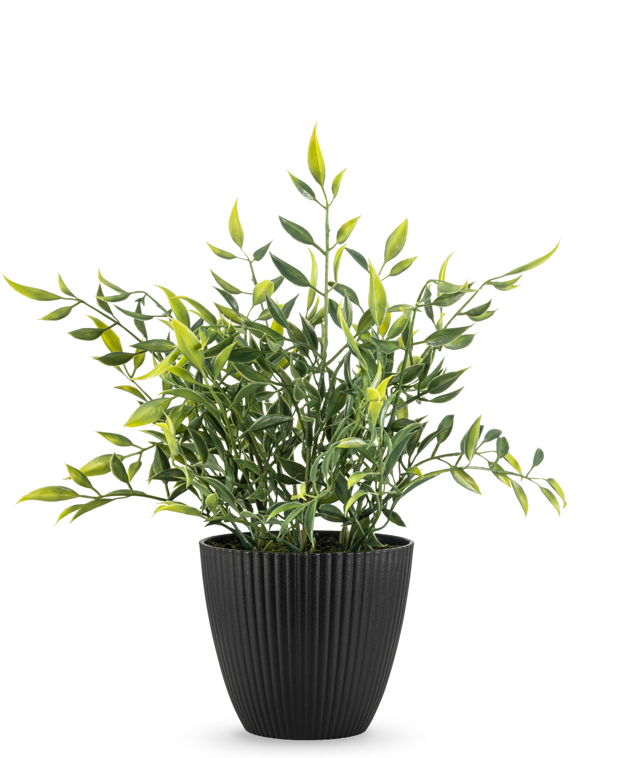 Une plante artificielle en bambou de 28 cm, une plante en pot verte aux feuilles longues et minces, certaines avec une pointe jaune, pousse dans un pot noir nervuré verticalement sur un fond blanc uni.