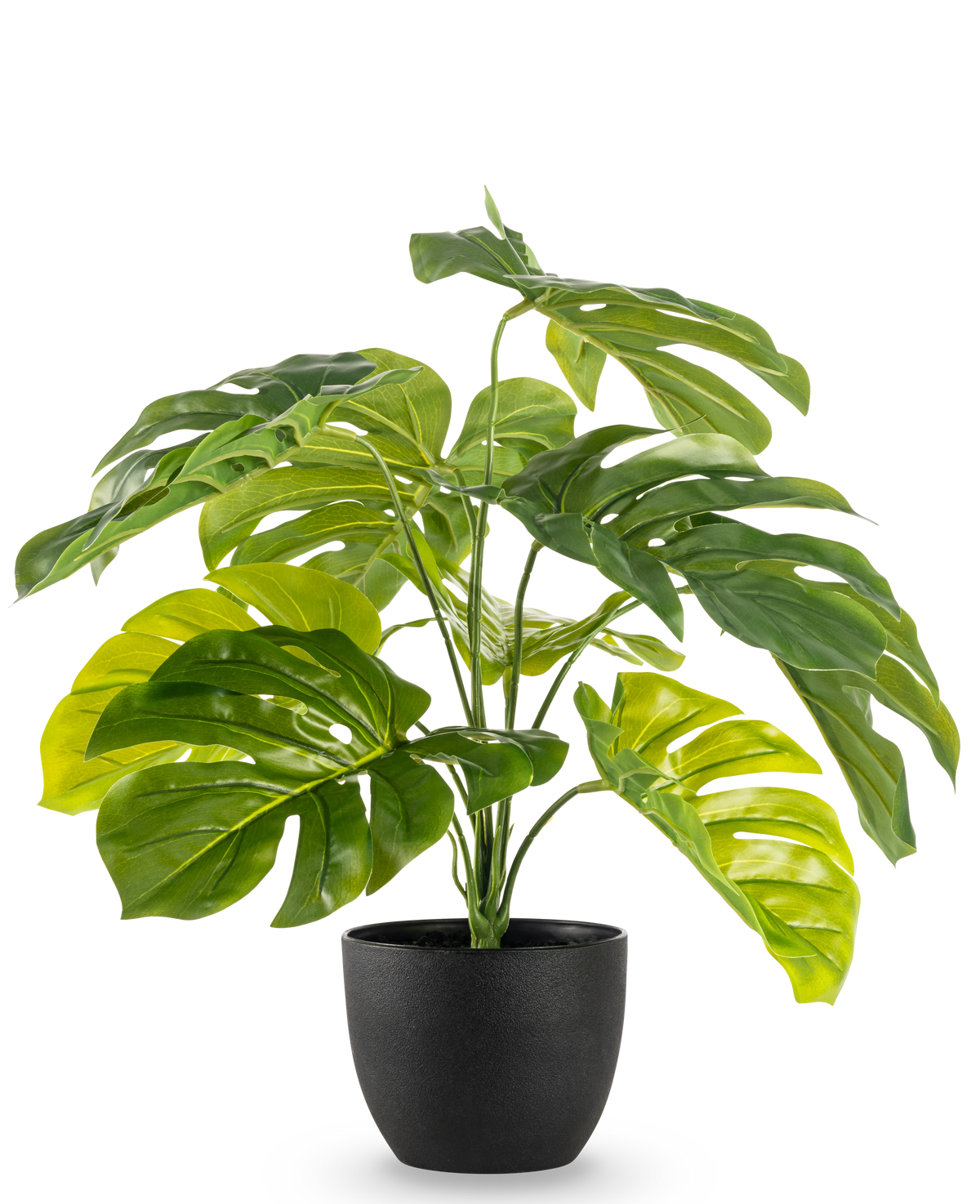 Le Monstera artificiel 55 cm en pot décoratif noir présente de grandes feuilles vertes fendues et brillantes dans un pot décoratif noir, sur un fond blanc uni.