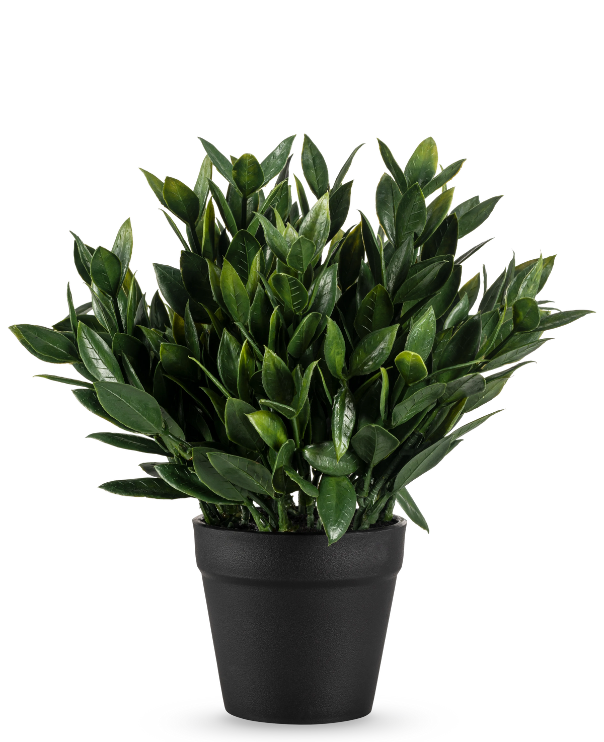 La Plante Artificielle Pumila 23 cm est une plante artificielle verte luxuriante avec de nombreuses feuilles pointues, dans un simple pot noir et sur un fond blanc uni.