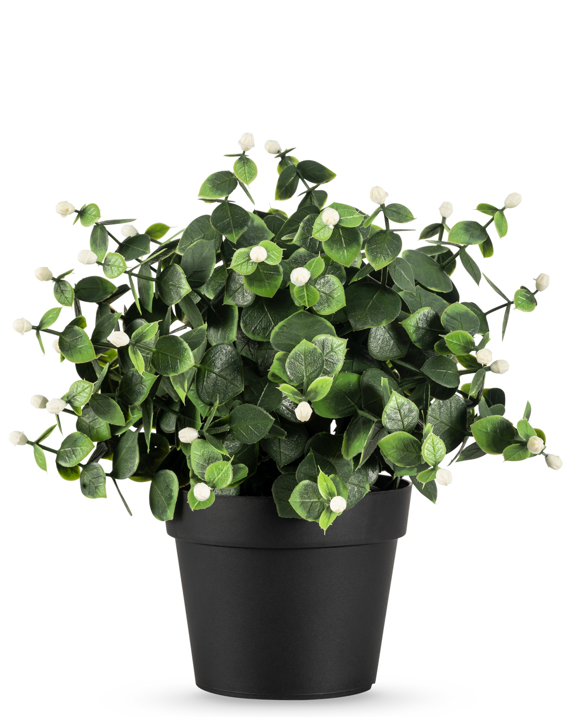 La Plante Artificielle Eucalyptus blanc en pot UV 22 cm a des feuilles vertes denses et de petits bourgeons blancs dans un simple pot noir, parfait pour égayer n'importe quel espace.