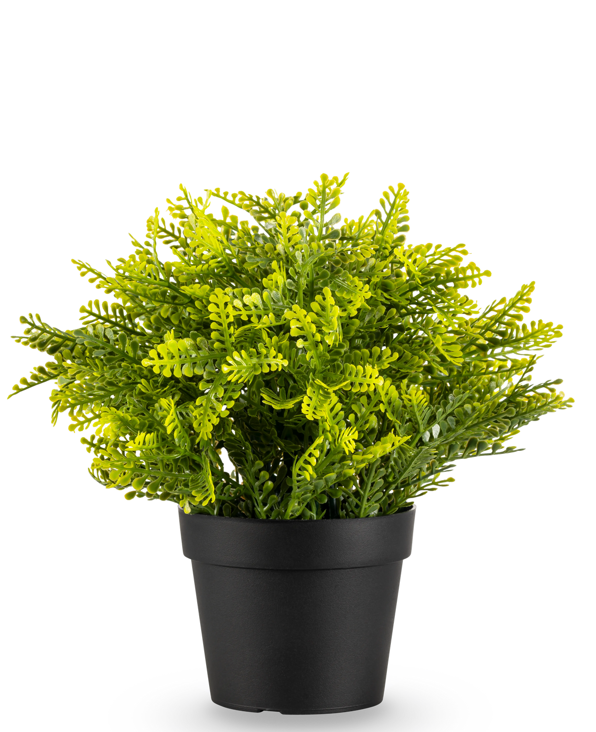 La Fougère Artificielle en pot UV 22 cm est une petite fougère artificielle aux feuilles vertes denses dans un pot simple noir, sur un fond blanc uni.