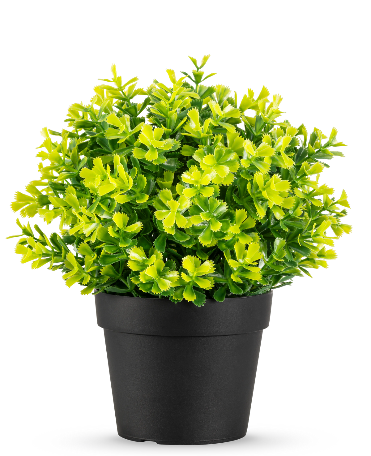 La plante de Romarin Artificiel UV 22 cm a des feuilles vert vif et jaune dans un pot en plastique noir uni, sur fond blanc.