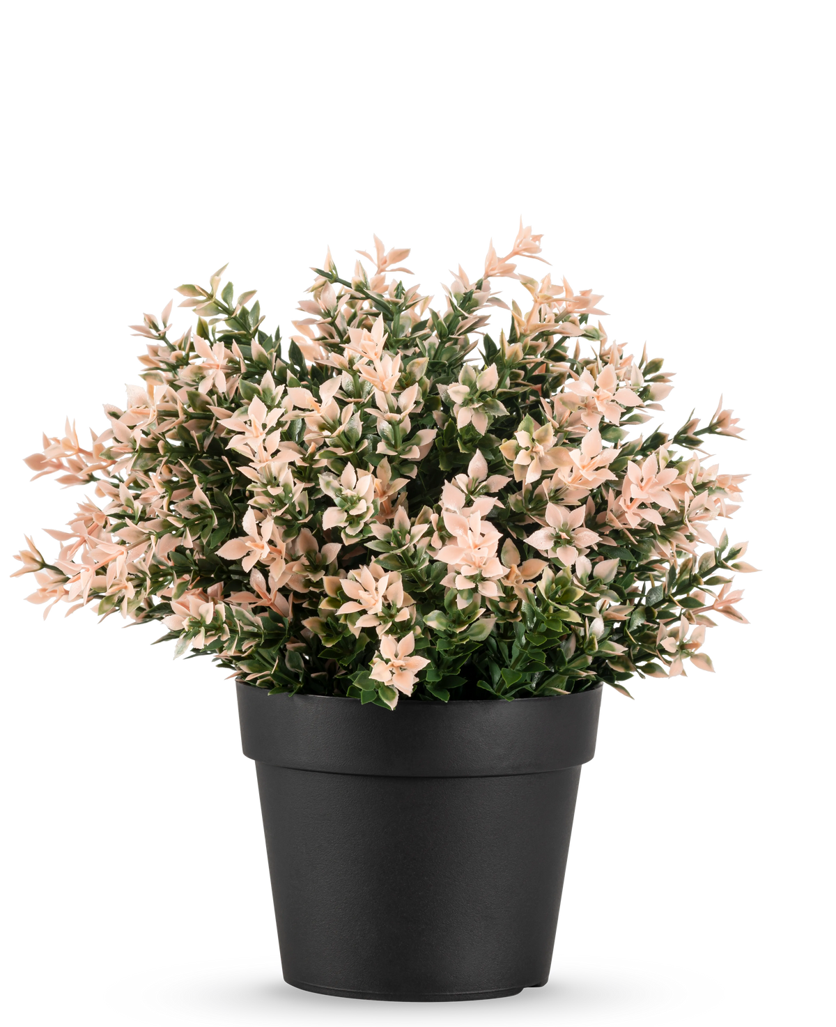 Le Buis Artificiel rose UV 22 cm présente de petites feuilles denses rose clair et vertes dans un pot uni noir, sur un fond blanc.