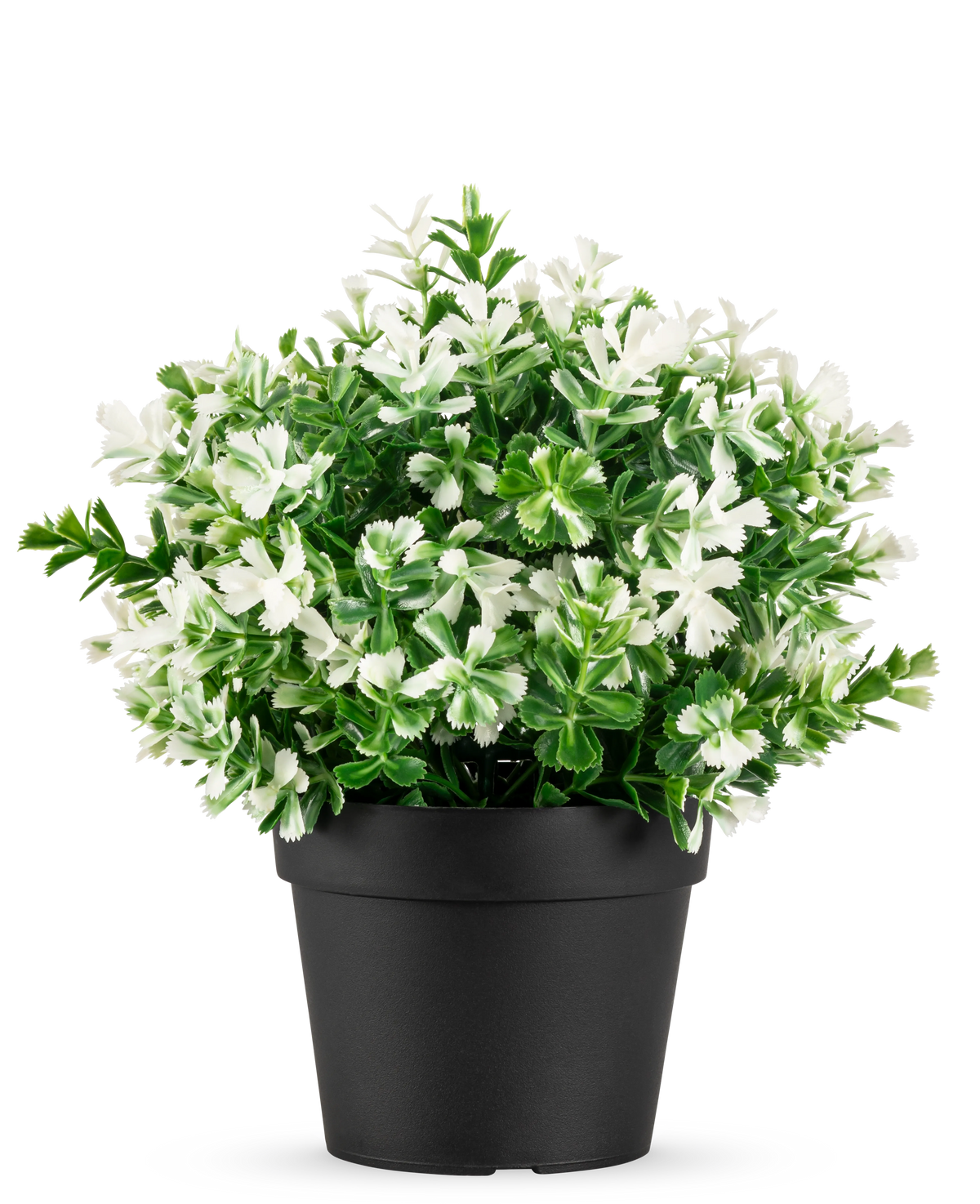 La plante Buis blanc artificiel en pot UV 19 cm possède des feuilles vertes denses et de nombreuses fleurs blanches, disposées dans un simple pot noir sur un fond blanc uni.