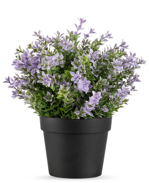 La Plante Artificielle Buxus violet UV 22 cm possède un pot de fleur noir avec une plante artificielle luxuriante avec de petites fleurs violet clair et des feuilles vertes sur un fond blanc uni.