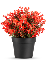 La Plante Artificielle Buxus rouge en pot UV 19 cm est un pot de fleur noir compact avec un mélange luxuriant de feuilles artificielles rouges et vertes sur un fond blanc uni.