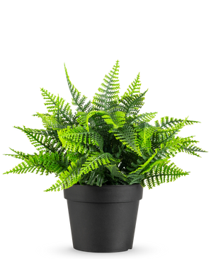La Fougère artificielle en pot UV 23 cm présente une fougère verte réaliste avec des feuilles plumeuses dans un simple pot noir, sur un fond blanc.