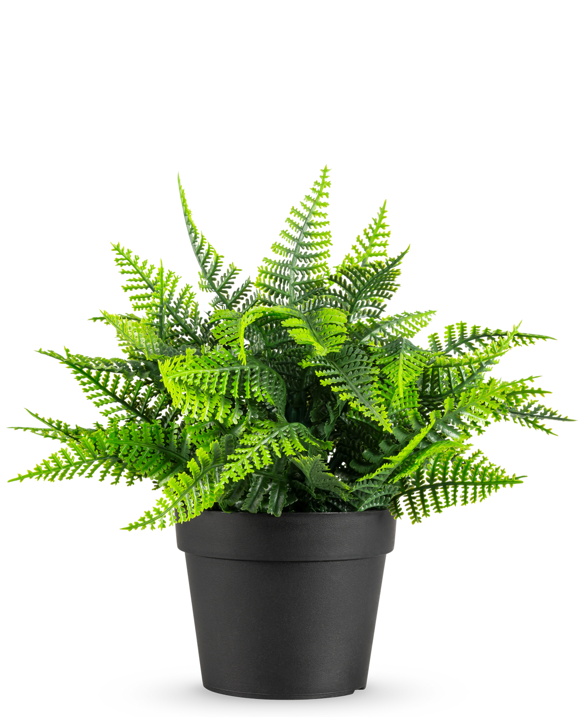La Fougère artificielle en pot UV 23 cm présente une fougère verte réaliste avec des feuilles plumeuses dans un simple pot noir, sur un fond blanc.