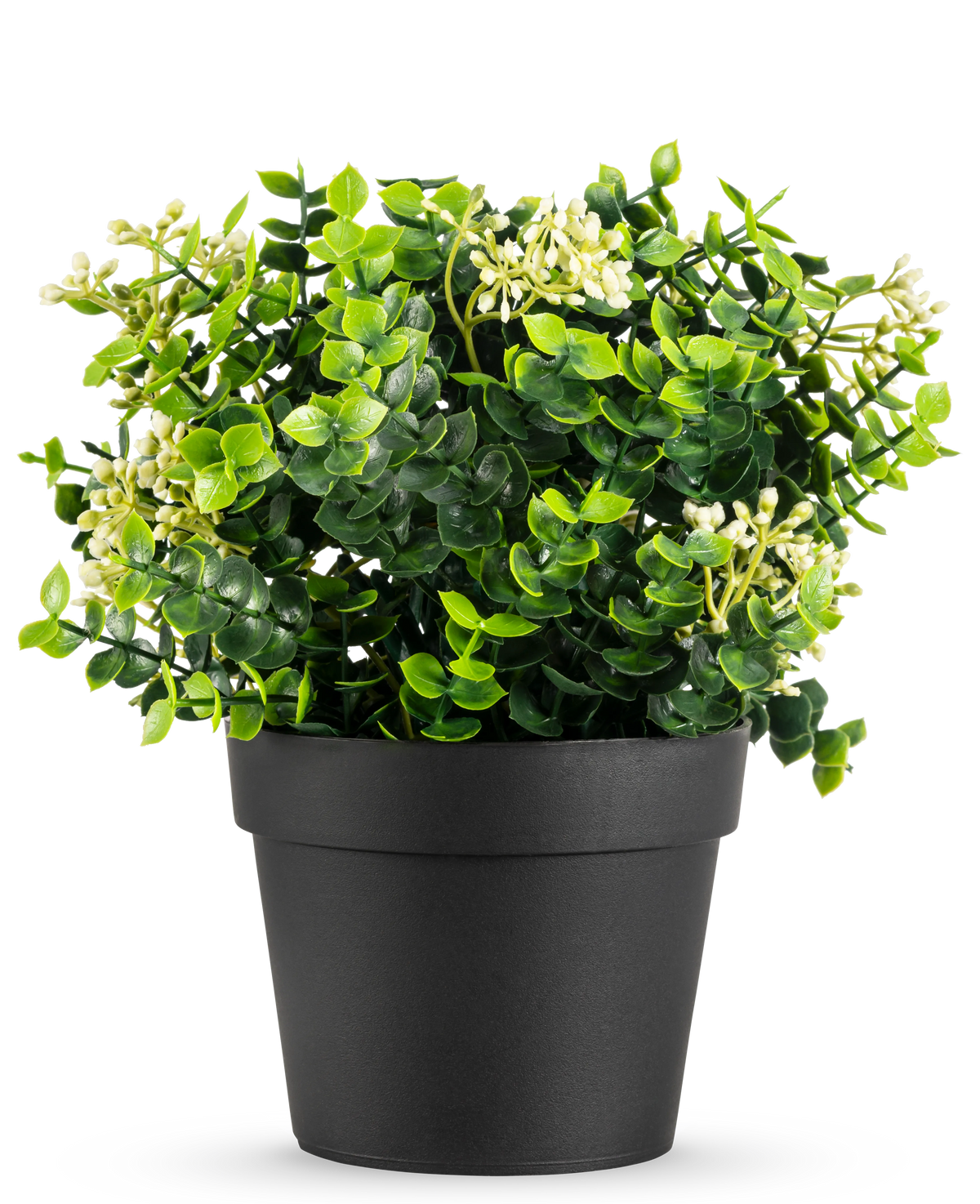 La Plante Artificielle Eucalyptus mix UV 22 cm possède des feuilles vert vif et de petites fleurs blanches dans un simple pot noir, sur un fond blanc.