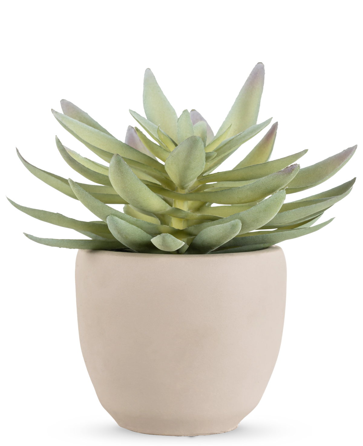 La plante succulente artificielle de 18 cm a des feuilles vertes épaisses et pointues dans un pot simple et rond en céramique blanc cassé, sur fond blanc.