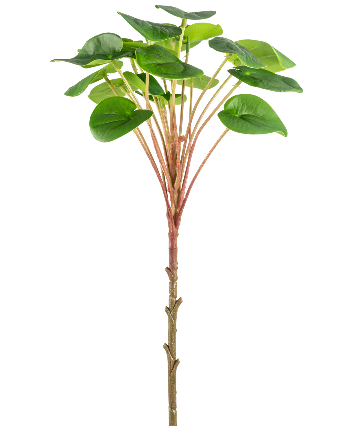Une plante artificielle Pilea Pancake de 50 cm avec une tige brune mince, de longues tiges rougeâtres et de grandes feuilles vertes rondes est présentée sur un fond blanc uni.