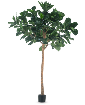 L'arbre à tabac artificiel de 260 cm est une grande plante artificielle avec des feuilles vertes luxuriantes et un tronc brun mince, dans un pot noir compact et sur un fond blanc uni.