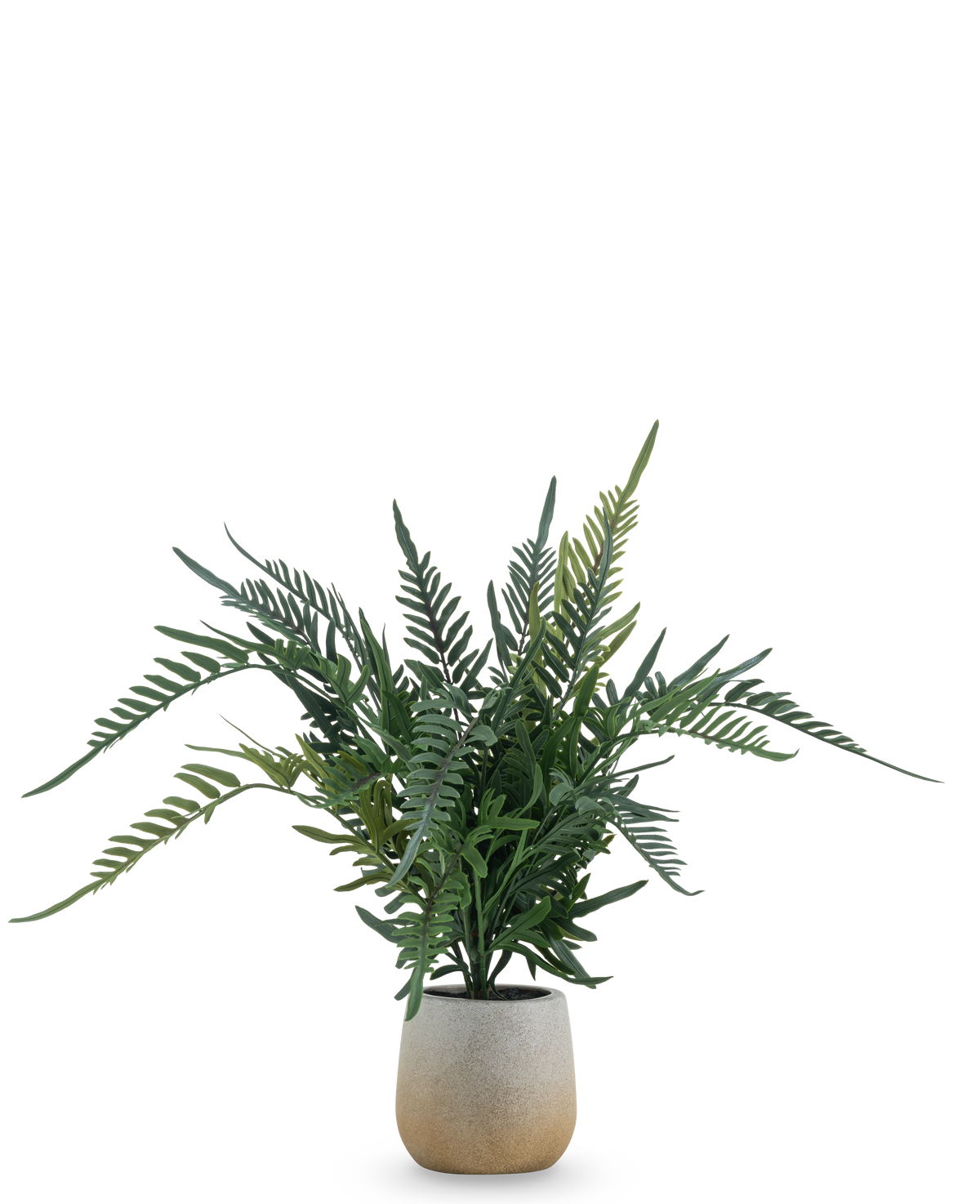 La Fougère Plante Artificielle 51 cm est une fougère artificielle avec de longues feuilles vertes et plumeuses dans un simple pot rond en céramique de couleur claire, sur un fond blanc uni.