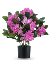 La plante artificielle Rhododendron 42 cm présente une plante artificielle avec des fleurs roses éclatantes et des feuilles vertes luxuriantes dans un pot noir, sur un fond blanc uni.