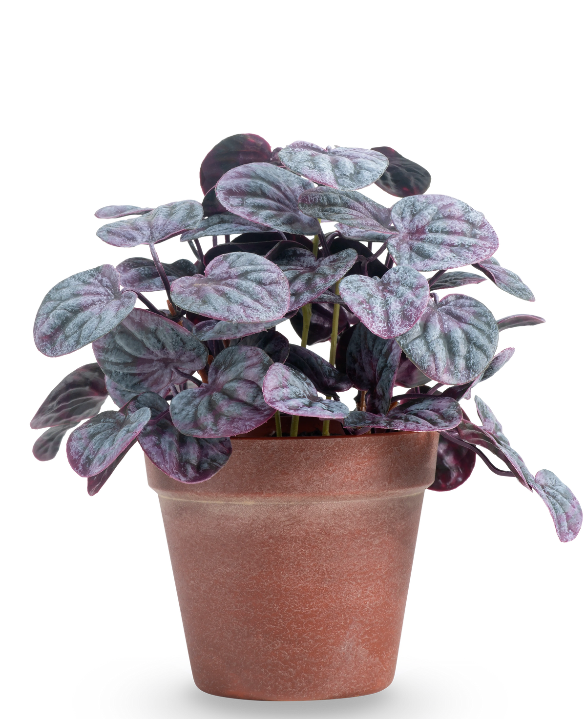 La Feuille Rugose artificielle 26 cm grise présente des feuilles rondes structurées vertes et violettes dans un simple pot en terre cuite marron, sur un fond uni blanc.
