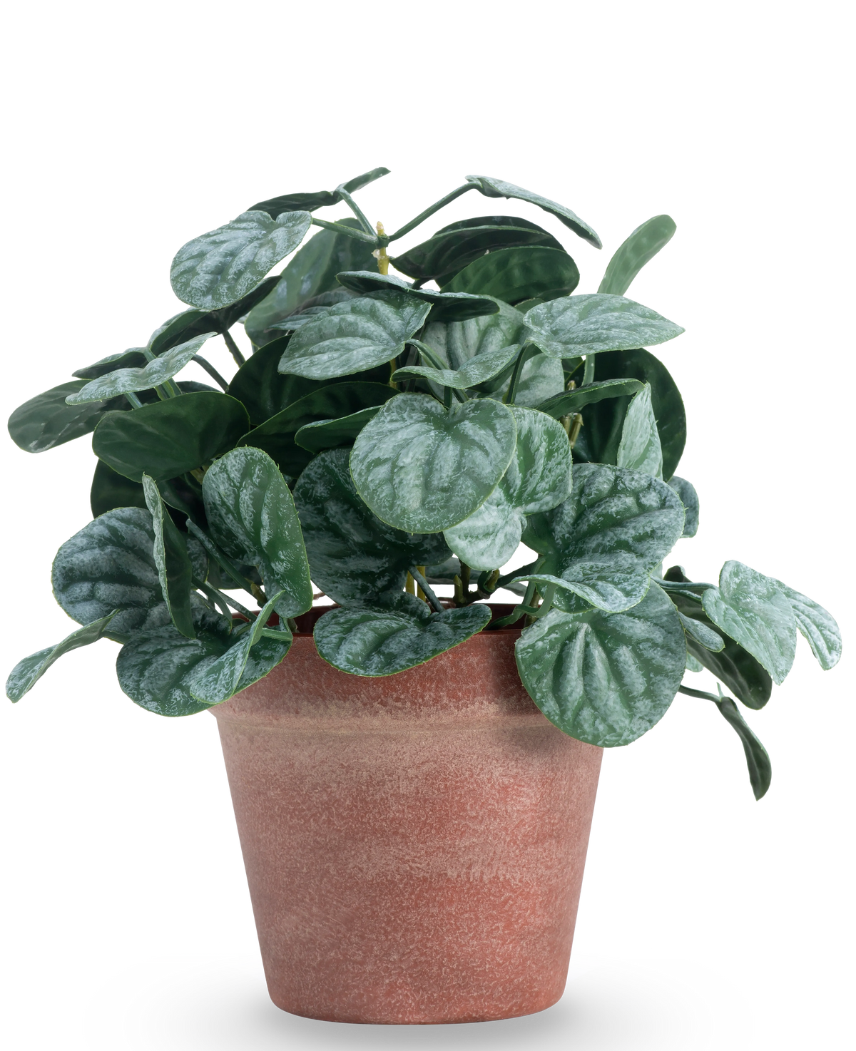 La feuille Rugose artificielle de 26 cm verte a des feuilles rondes et texturées vertes dans un pot en argile rouge-brun, sur un fond blanc uni.
