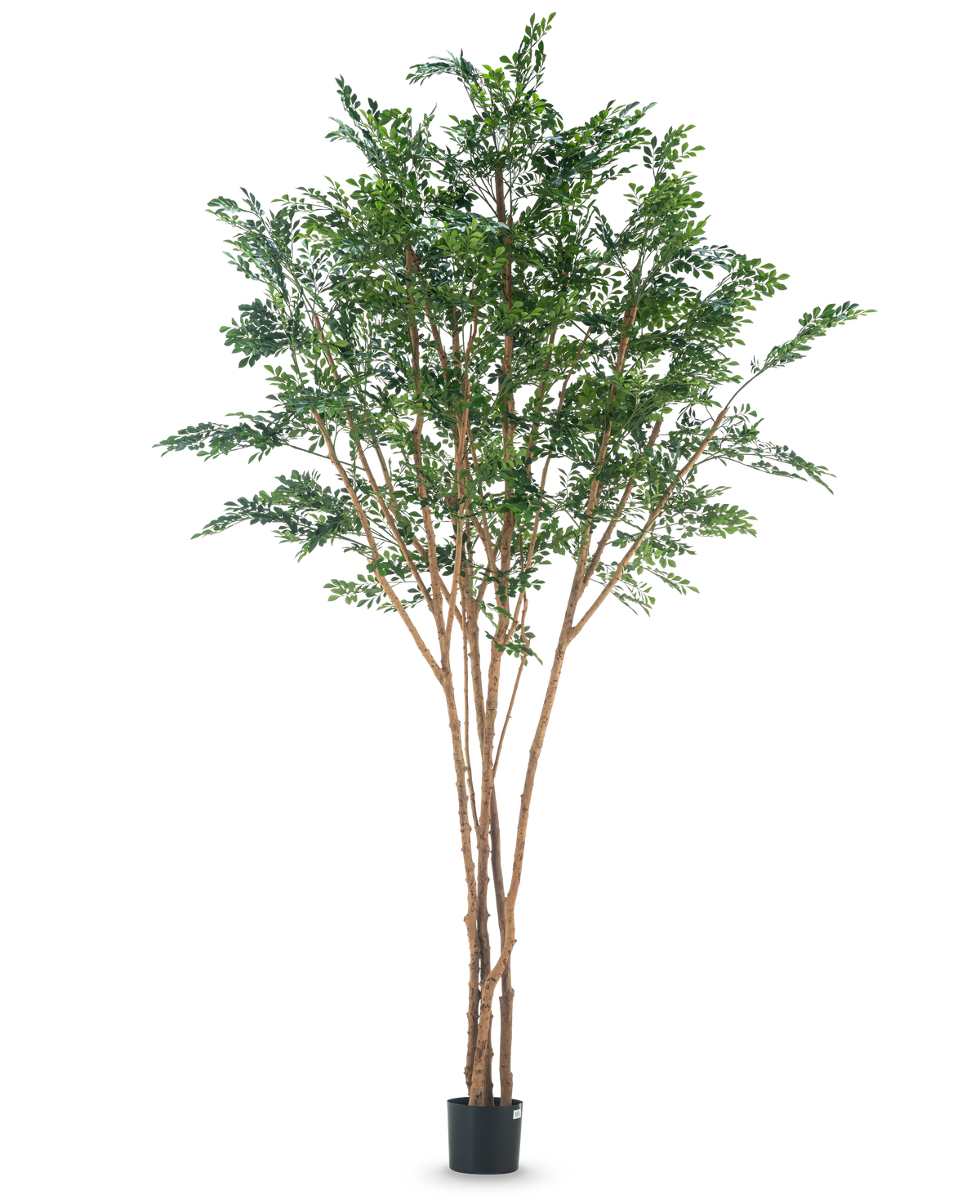 L'arbre artificiel Murraya paniculata 300 cm possède plusieurs troncs bruns élancés et des feuilles vertes denses dans une petite jardinière noire, sur un fond blanc uni.