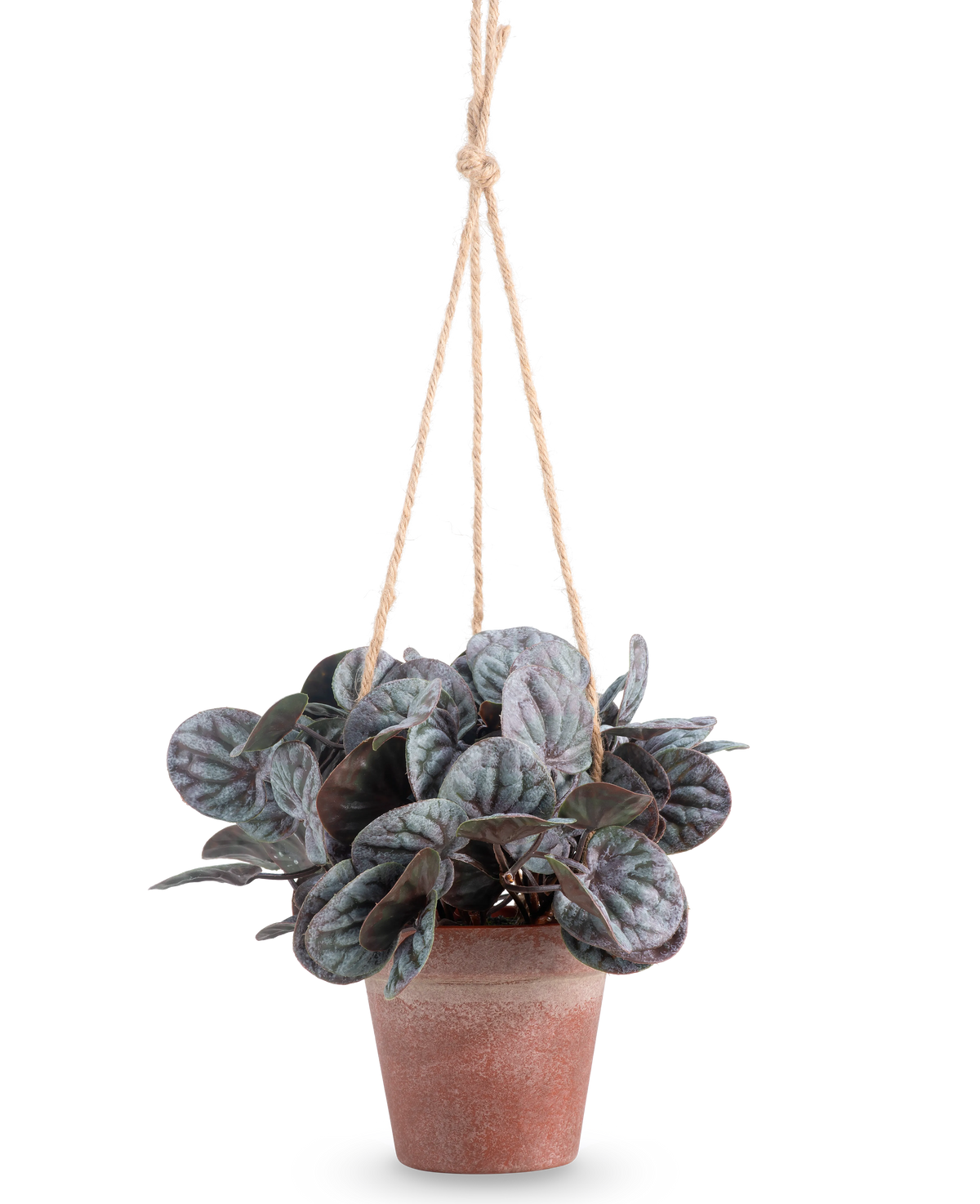 La feuille rugueuse artificielle (18 cm) est une plante artificielle avec des feuilles vertes rondes et feuillues dans un pot suspendu gris rustique, accroché à un cintre en corde beige, sur un fond blanc uni.