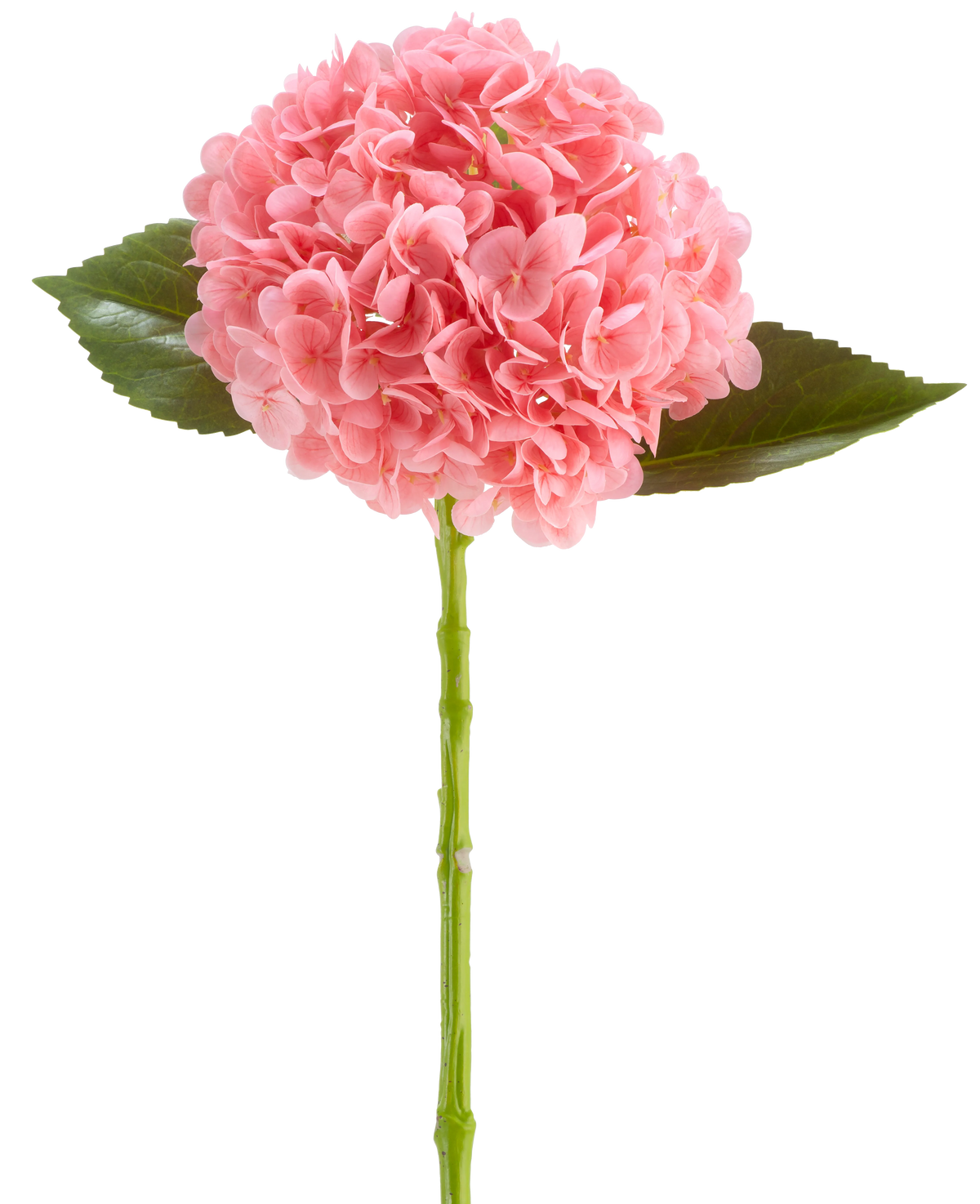 La Fleur Artificielle Charlotte Hortensia Real Touch rose foncé est une fleur d'hortensia artificielle de 55 cm de long, avec une grappe ronde de pétales rose foncé et de feuilles vertes sur une longue tige, isolée sur fond blanc.