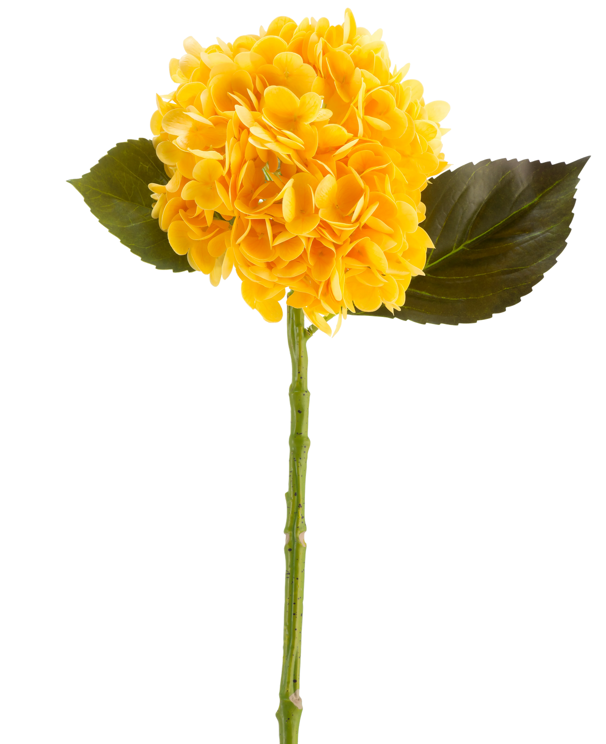 La Fleur Artificielle Charlotte Hortensia Real Touch en jaune, 55 cm, est une fleur d'hortensia artificielle simple avec des feuilles vertes et une longue tige, sur un fond blanc.