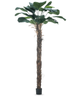Une plante artificielle Licuala Grandis, palmier artificiel de 220 cm avec de grandes feuilles.