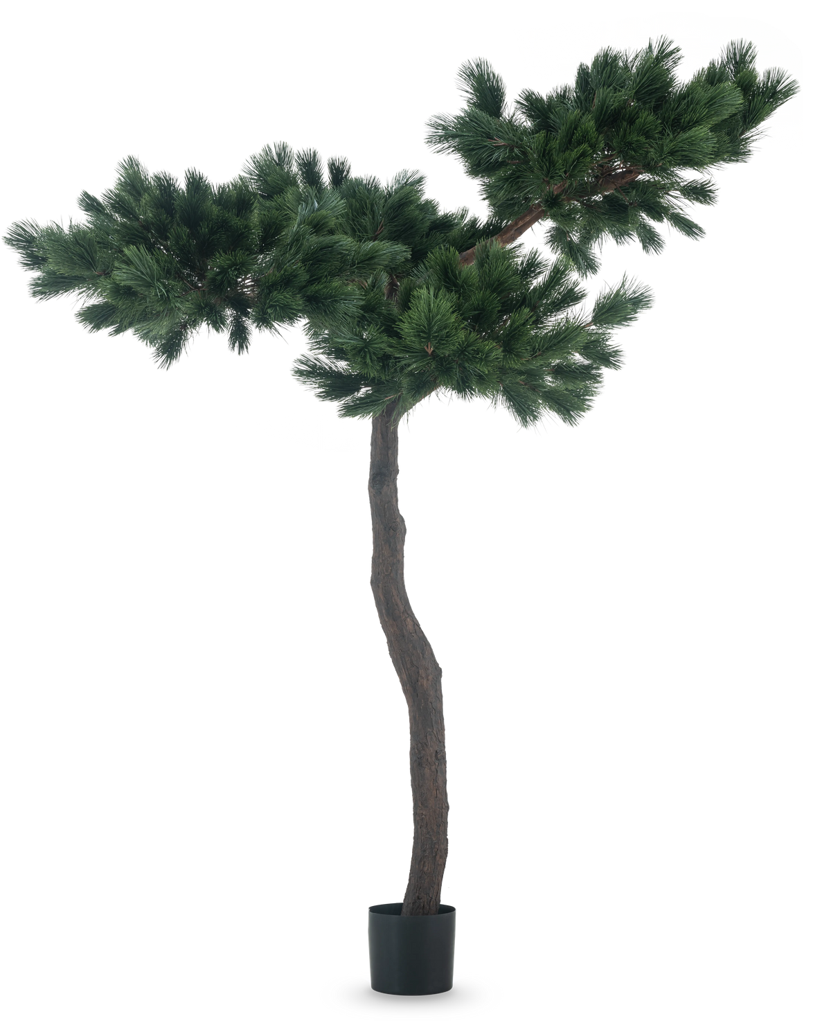 La plante artificielle Pinus 210 cm est un grand pin artificiel avec un tronc élancé et courbé et deux larges branches touffues avec des aiguilles vertes denses, représentées sur un fond blanc uni.