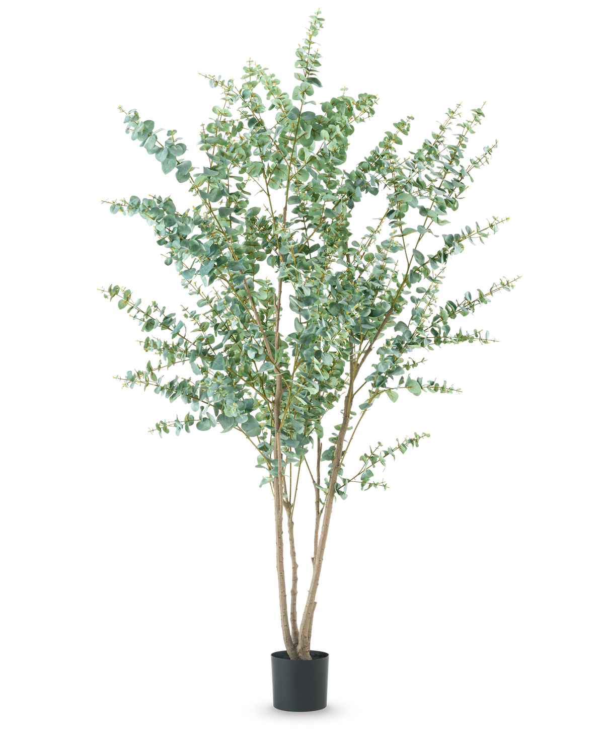 La plante artificielle Eucalyptus 240 cm est une grande plante artificielle avec de multiples tiges ligneuses fines et des feuilles vertes rondes, présentées dans un simple pot noir sur un fond blanc uni.