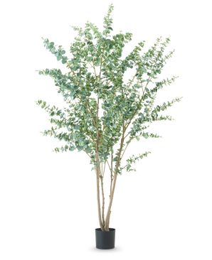 La plante artificielle Eucalyptus 240 cm est une grande plante artificielle avec de multiples tiges ligneuses fines et des feuilles vertes rondes, présentées dans un simple pot noir sur un fond blanc uni.