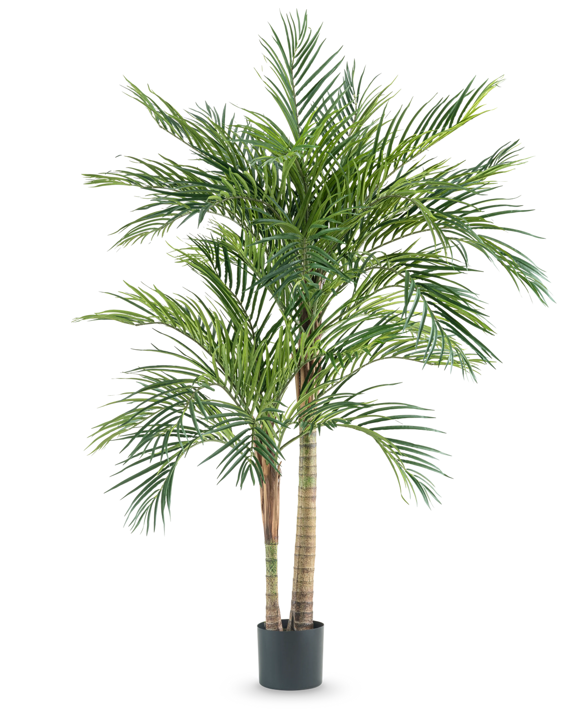La Plante Artificielle Areca 180 cm est un grand palmier artificiel avec plusieurs troncs élancés et de longues feuilles vertes, dans un simple pot noir sur fond blanc.