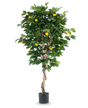 Un grand oranger artificiel de 180 cm avec des feuilles vertes luxuriantes et divers fruits oranges, sur un fond blanc uni.