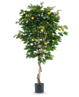 Un grand oranger artificiel de 180 cm avec des feuilles vertes luxuriantes et divers fruits oranges, sur un fond blanc uni.
