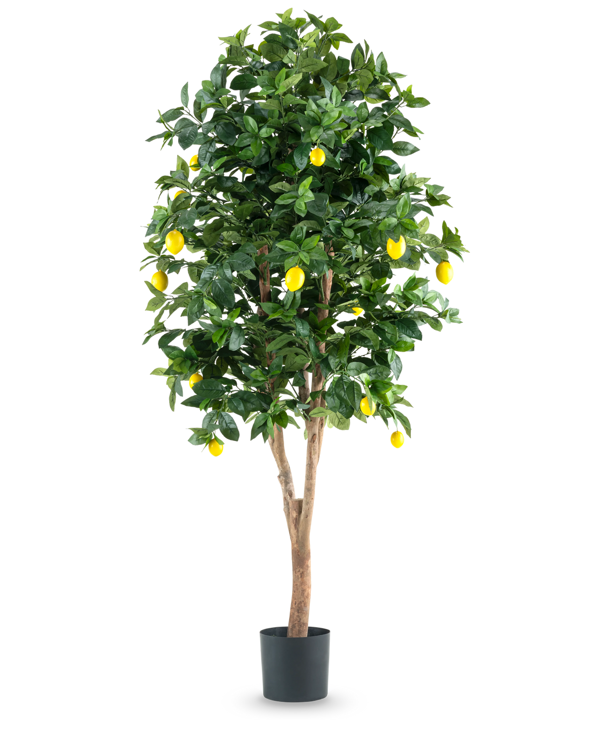 Le citronnier artificiel de 180 cm est un grand citronnier artificiel avec des feuilles vertes luxuriantes et des citrons jaunes vifs sur un fond blanc uni.