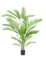 La plante artificielle Chamaedorea 180 cm est un grand palmier vert luxuriant avec de longues feuilles minces sur plusieurs troncs dans un simple pot noir, sur fond blanc.