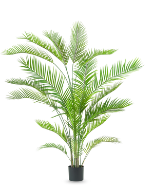 La plante artificielle Chamaedorea 180 cm est un grand palmier vert luxuriant avec de longues feuilles minces sur plusieurs troncs dans un simple pot noir, sur fond blanc.