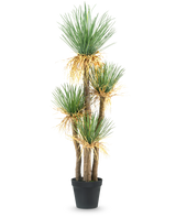 La plante artificielle Yucca deluxe 182 cm est un grand yucca artificiel avec de multiples tiges ligneuses et des grappes de longues feuilles vertes pointues et un peu jaunies à la base, parfaite comme pièce décorative pour n'importe quelle pièce.