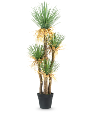 La plante artificielle Yucca deluxe 182 cm est un grand yucca artificiel avec de multiples tiges ligneuses et des grappes de longues feuilles vertes pointues et un peu jaunies à la base, parfaite comme pièce décorative pour n'importe quelle pièce.