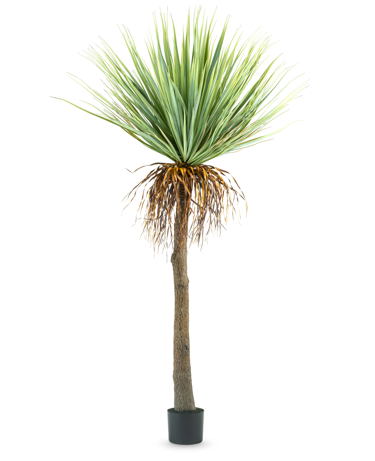 La plante artificielle Yucca 153 cm a un tronc brun haut et rugueux avec des feuilles vertes épineuses en haut et quelques feuilles séchées en bas, sur un fond blanc uni.