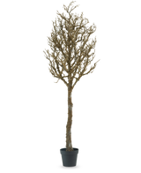 L'arbre décoration Art à branches 180 cm est un arbre nu, sans feuilles, avec de nombreuses branches dans un pot en plastique noir, sur un fond uni blanc.