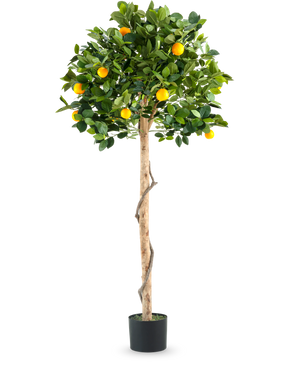 Un oranger artificiel sur un seul tronc de 150 cm en pot avec un tronc élancé, des feuilles vertes vibrantes et des fruits orange réalistes, représenté sur un fond blanc uni.