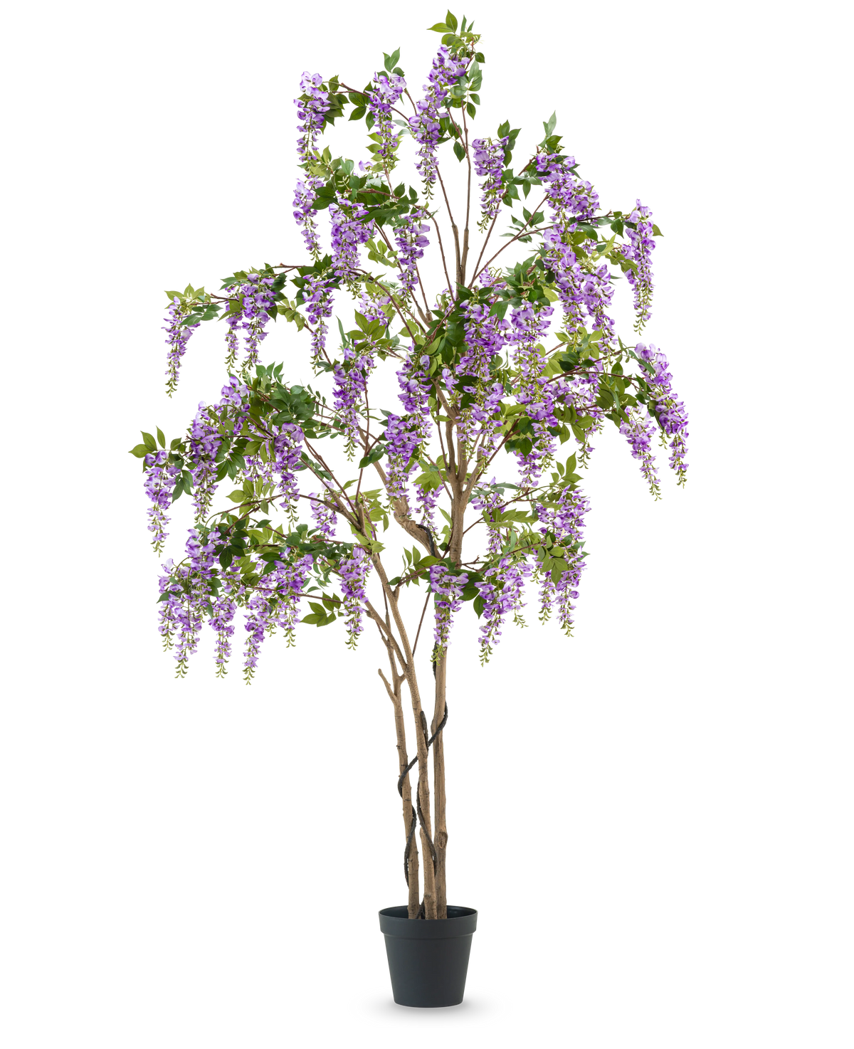La plante de glycine artificielle 280 cm est une grande glycine artificielle dans un pot noir, avec de multiples troncs bruns minces et des fleurs violettes en cascade avec des feuilles vertes, sur un fond blanc uni.