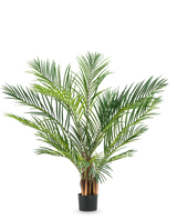La plante artificielle Areca 150 cm a de longues feuilles vertes fines et des tiges brunes dans un simple pot noir, sur un fond blanc uni.